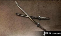 最新武器双刀爆料大全,性能解析与实战应用全解析